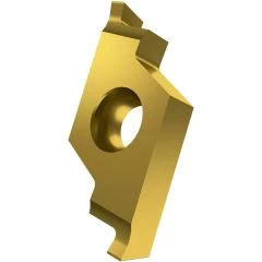 22508-X610602-100RGOLD.png
